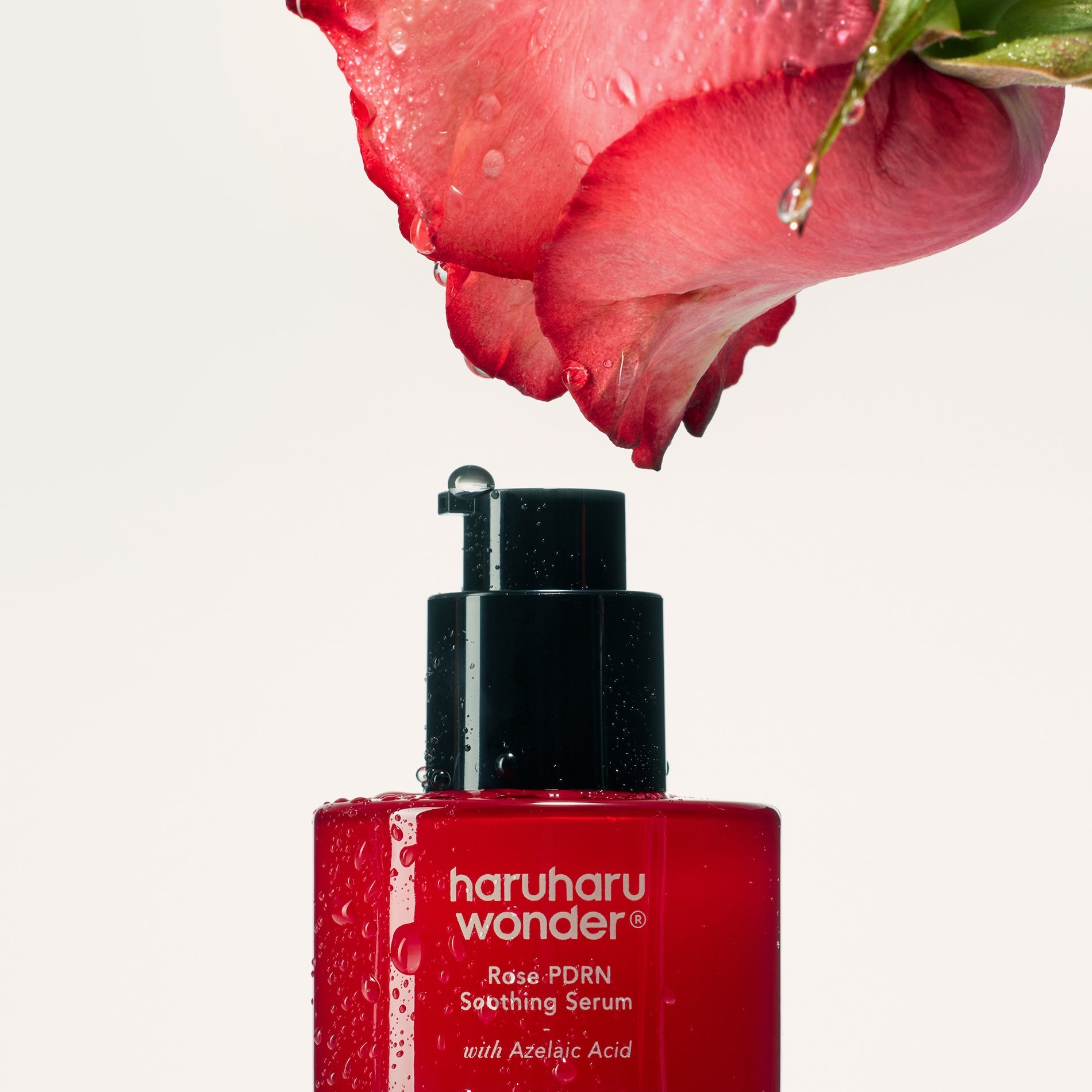 Haruharu Wonder — Rose PDRN Soothing Serum — 30ml